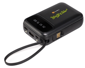 Power bank 5400 mAh «Левиоса»